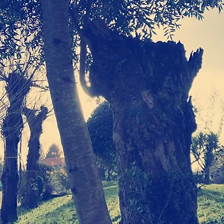 Casal Da Batoca Nature House * Fafe